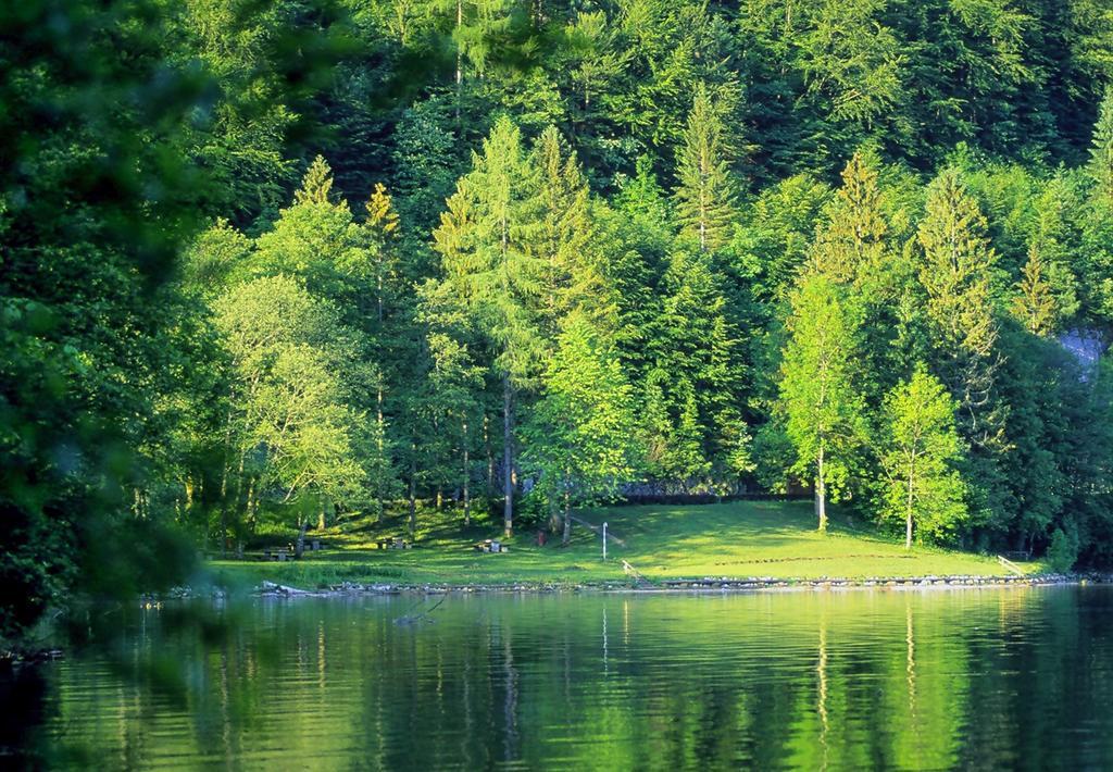Park Am Ferienpark 3*